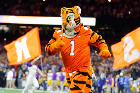 The Role of Tiger Mascot Heads in Cheerleading and Dance Performances